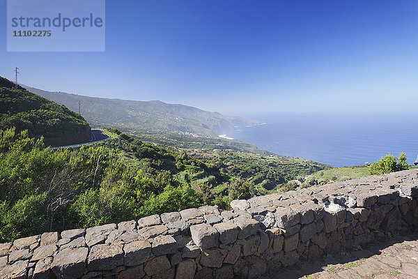 Blick vom Mirador de la Tosca über die Nordküste  Kanarischer Drachenbaum (Dracaena draco)  Barlovento  La Palma  Kanarische Inseln  Spanien  Atlantik  Europa