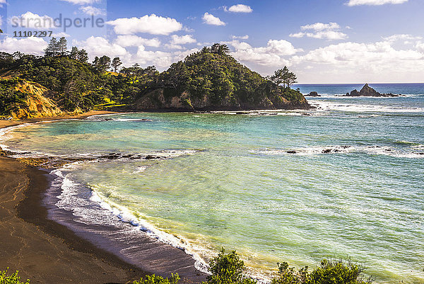 Sandstrand an der Tutukaka-Küste  Region Northland  Nordinsel  Neuseeland  Pazifik