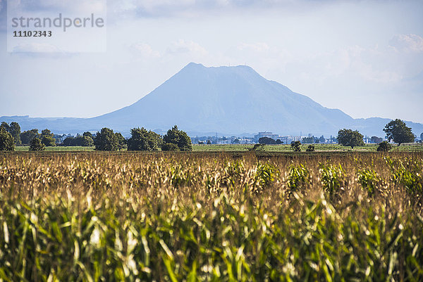 Mount Edgecumbe (Putauaki)  nahe Whakatane  Bay of Plenty  Nordinsel  Neuseeland  Pazifik