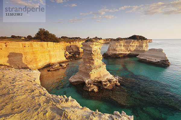 Felsensäulen  Naturdenkmal  Felsenküste bei Sonnenaufgang  Sant'Andrea  Adriatisches Meer  Provinz Lecce  Salentinische Halbinsel  Apulien  Italien  Europa