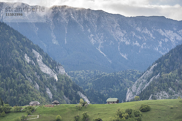 Rumänische Landschaft in den Karpaten in der Nähe von Schloss Bran bei Pestera  Siebenbürgen  Rumänien  Europa