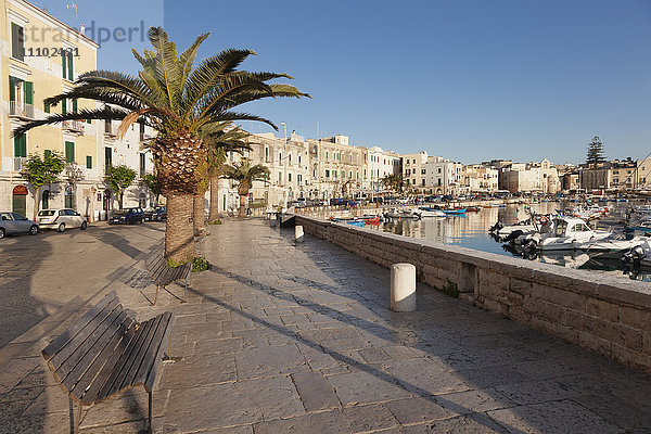 Promenade am Hafen  Altstadt  Trani  Le Murge  Bezirk Barletta-Andria-Trani  Apulien  Italien  Europa