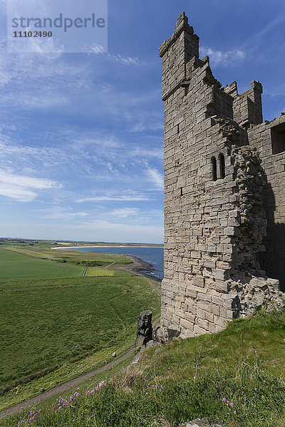Ruinen der Burg Dunstanburgh mit Blick auf Felder und Embleton Bay  Northumberland  England  Vereinigtes Königreich  Europa