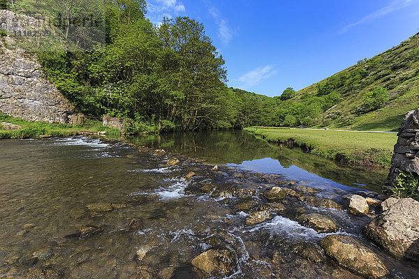 Wehr  Fluss Dove  Dovedale und Milldale im Frühling  White Peak  Peak District  Grenze Derbyshire Staffordshire  England  Vereinigtes Königreich  Europa