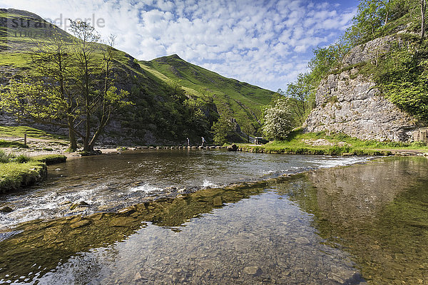 Dovedale-Reflexionen  Wanderer auf Trittsteinen und Thorpe Cloud  Kalksteinschlucht im Frühling  Peak District  Derbyshire  England  Vereinigtes Königreich  Europa
