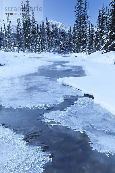 Kleiner Bach im Winter  Banff National Park  Alberta  Kanada  Nordamerika