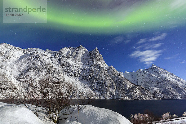 Nordlicht (Aurora borealis) beleuchtet die schneebedeckten Gipfel und den blauen Himmel während einer sternenklaren Nacht  Budalen  Svolvaer  Lofoten  Arktis  Norwegen  Skandinavien  Europa