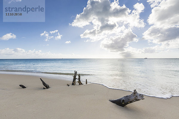 Baumstämme am Strand  umrahmt vom kristallklaren Karibischen Meer  Ffryes Beach  Antigua  ntigua und Barbuda  Leeward-Inseln  Westindien  Karibik  Mittelamerika