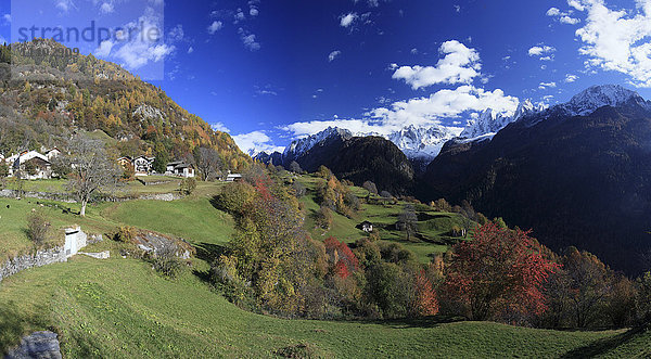 Panorama des Dorfes Soglio  umgeben von bunten Wäldern  Bergeller Tal  Kanton Graubünden  Schweiz  Europa
