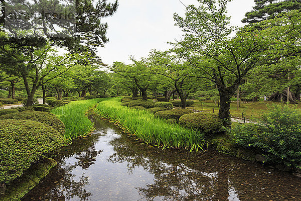 Bach mit üppigem Grün und Spiegelungen  Kenrokuen  einer der schönsten Landschaftsgärten Japans im Sommer  Kanazawa  Japan  Asien