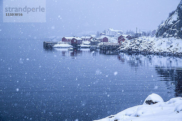 Starker Schneefall auf dem Fischerdorf und dem eisigen Meer  Nusfjord  Lofoten  Arktis  Norwegen  Skandinavien  Europa