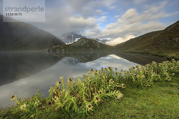 Nebel und Blumen umrahmen die Fenetre Seen Ferret Valley  Saint Rhemy  Grand St Bernard  Aosta Valley  Italien  Europa