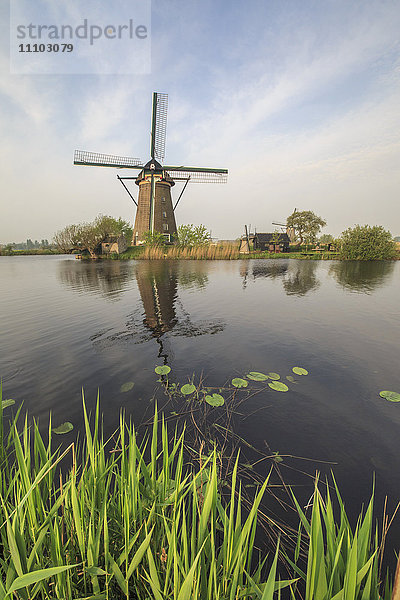 Grünes Gras umrahmt die Windmühlen  die sich in der Gracht spiegeln  Kinderdijk  Rotterdam  Südholland  Niederlande  Europa