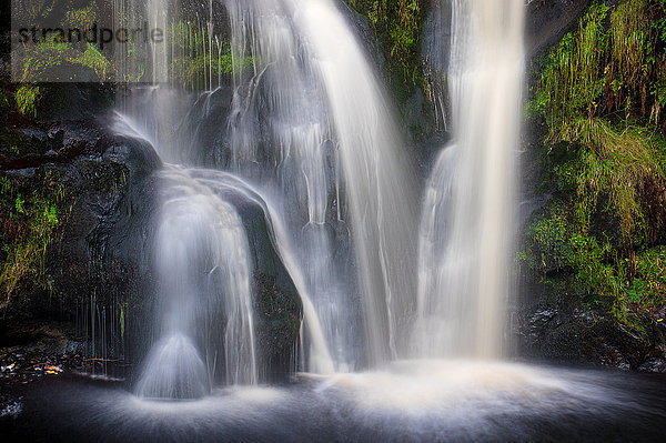 Posforth Gill Wasserfall  Bolton Abbey  Yorkshire Dales  Yorkshire  England  Vereinigtes Königreich  Europa