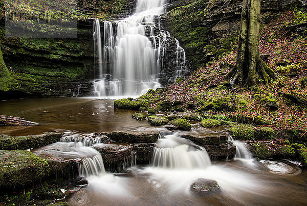Scaleber Force Wasserfall  Yorkshire Dales  Yorkshire  England  Vereinigtes Königreich  Europa