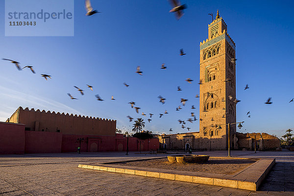 Das Minarett der Koutoubia-Moschee  Marrakech  Marokko  Nordafrika  Afrika