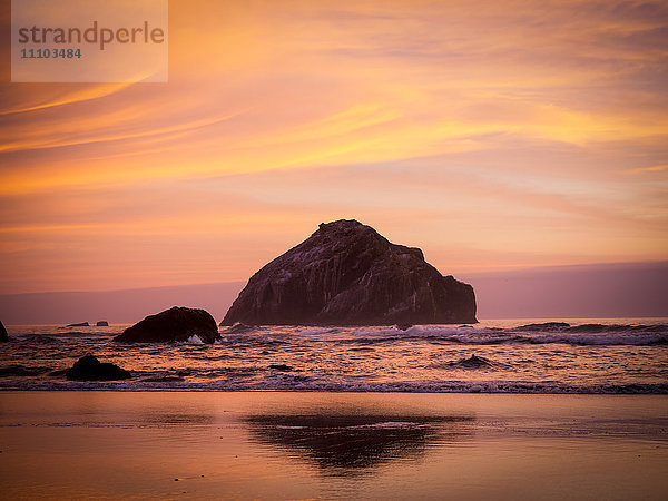 Goldene Stunde am Face Rock  Bandon  Oregon  Vereinigte Staaten von Amerika  Nordamerika