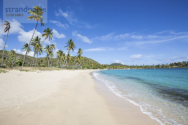 Der lange Strand  umgeben von Palmen und dem Karibischen Meer  Morris Bay  Antigua und Barbuda  Leeward-Inseln  Westindien  Karibik  Mittelamerika