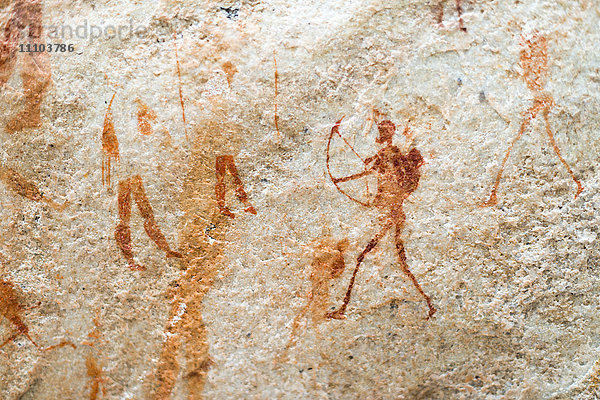 Höhlenmalereien der San-Felskunst an der Wand eines Felsüberhangs in den Cederbergen  Westkap  Südafrika  Afrika