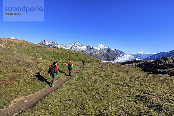 Wanderer auf einem Bergpfad auf dem Weg zu den hohen Gipfeln an einem klaren Sommertag  Gornergrat  Kanton Wallis  Schweizer Alpen  Schweiz  Europa