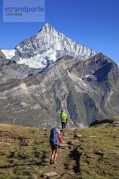 Wanderer gehen an einem klaren Sommertag auf den hohen Gipfel des Dent Herens zu  Gornergrat  Kanton Wallis  Schweizer Alpen  Schweiz  Europa