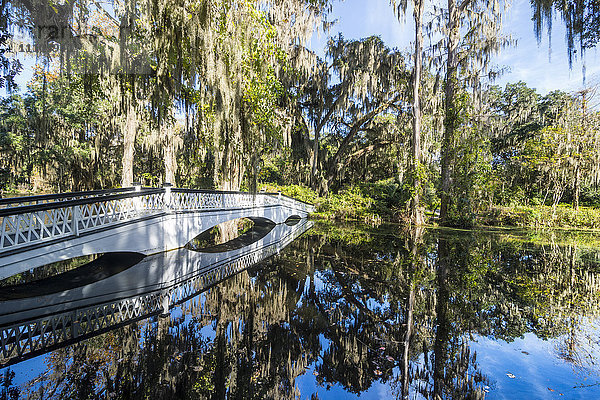 Brücke  die sich in einem Teich in der Magnolia Plantation außerhalb von Charleston  South Carolina  Vereinigte Staaten von Amerika  Nordamerika  spiegelt