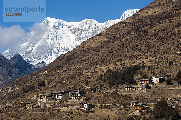 Das schöne Dorf Laya im Himalaya  Bhutan  Asien