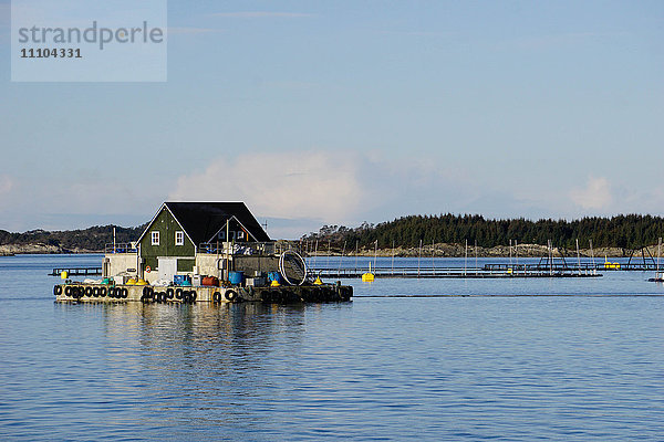 Fischzuchtbetrieb mit schwimmendem Haus  Aversund Fjord  bei Bergen  Hordaland  Norwegen  Skandinavien  Europa