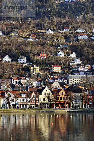 Lille Lungegard See  Bergen  Norwegen  Skandinavien  Europa