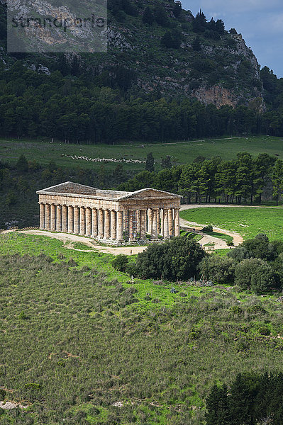 Segesta-Tempel  Segesta  Sizilien  Italien  Europa