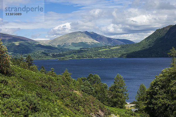 Derwentwater  und Saddleback (Blencathra)  Keswick  Lake District National Park  Cumbria  England  Vereinigtes Königreich  Europa