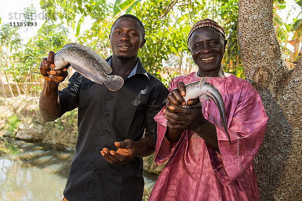 Baba Peter Keita und Sohn Richard Peter betreiben eine Fischzucht  Nigeria  Westafrika  Afrika