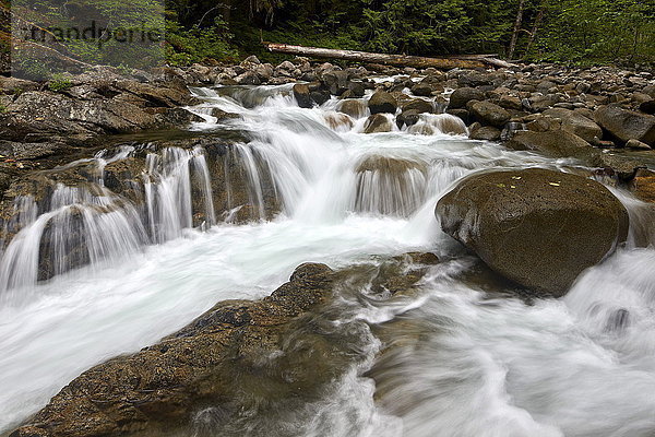 Kaskaden am Deception Creek  Mount Baker-Snoqualmie National Forest  Washington  Vereinigte Staaten von Amerika  Nordamerika