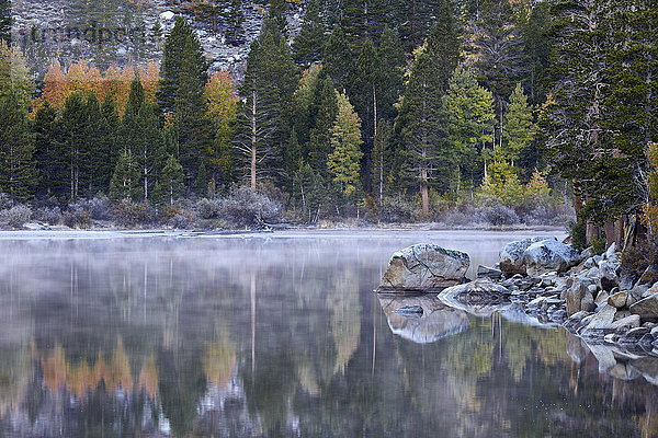 Rock Creek Lake im Herbst mit Nebel  Inyo National Forest  Kalifornien  Vereinigte Staaten von Amerika  Nordamerika