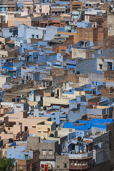 Die traditionellen blau getünchten Häuser von Jodhpur  Rajasthan  Indien  Asien