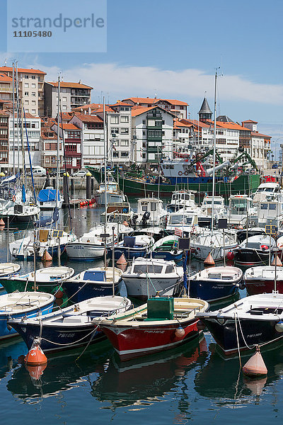 Traditionelle Fischerboote im Hafen von Lekeitio  Baskenland (Euskadi)  Spanien  Europa