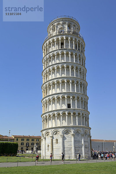 Schiefer Turm (Torre Pendente)  Piazza del Duomo (Domplatz)  Platz der Wunder  UNESCO-Weltkulturerbe  Pisa  Toskana  Italien  Europa