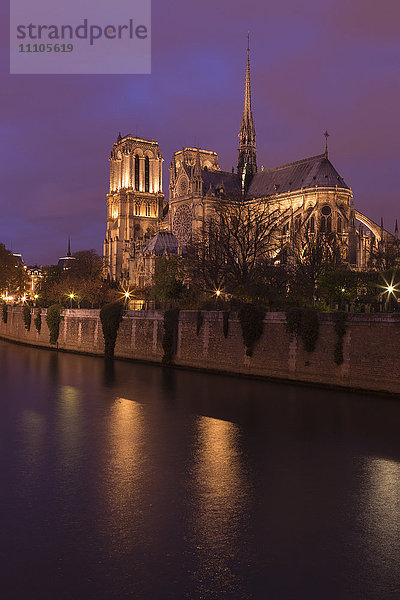 Kathedrale Notre Dame bei Nacht beleuchtet mit Fluss Seine  Paris  Frankreich  Europa
