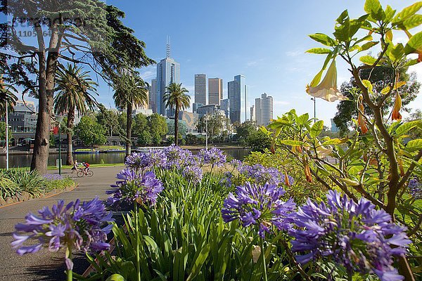 Blick auf die Stadt von Alexandra Gardens  Melbourne  Victoria  Australien  Pazifik