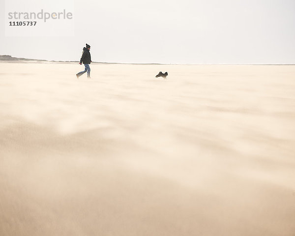 Mann  der mit seinem Hund über einen windigen Strand spaziert  an dem trockener  sich bewegender Sand eine Wolke unter den Füßen erzeugt  West Kirkby  Wirral  England  Vereinigtes Königreich  Europa