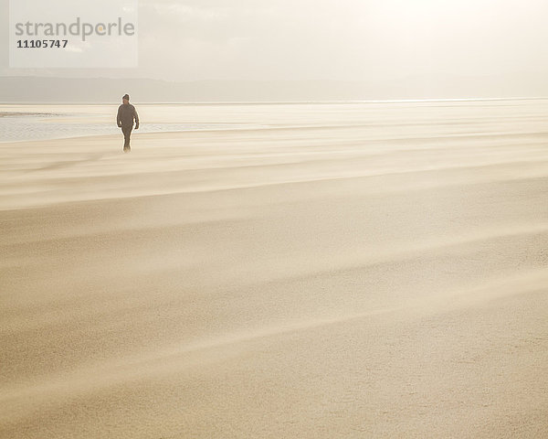 Mann geht über einen windigen Strand mit trockenem  sich verschiebendem Sand  der eine Wolke unter den Füßen erzeugt  West Kirkby  Wirral  England  Vereinigtes Königreich  Europa