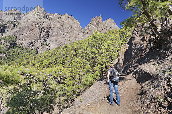 Wanderer auf einem Wanderweg von Los Brecitos durch die Caldera de Taburiente  Parque Nacional de la Caldera de Taburiente  UNESCO-Biosphärenreservat  La Palma  Kanarische Inseln  Spanien  Europa