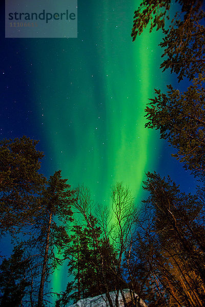 Aurora Borealis (das Nordlicht) über Kakslauttanen Igloo West Village  Saariselka  Finnland  Skandinavien  Europa