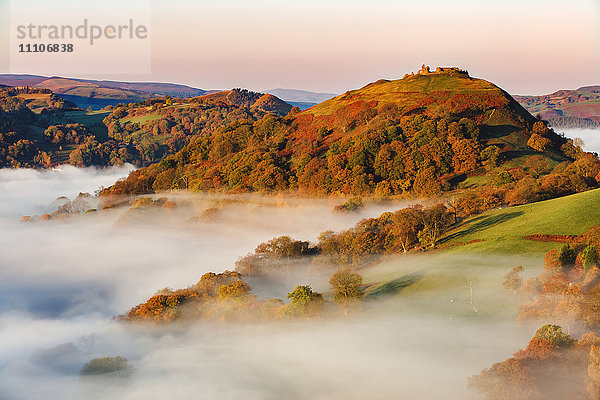 Die mittelalterliche Burg Dinas Bran steht an einem Herbstmorgen über dem Nebel  Denbighshire  Wales  Vereinigtes Königreich  Europa