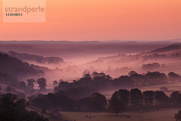 Das Littondale-Tal in den Yorkshire Dales mit Nebelschwaden zwischen den Bäumen im Licht eines Herbstmorgens  Yorkshire  England  Vereinigtes Königreich  Europa