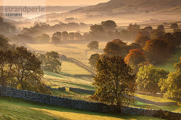 Das vom frühen Morgenlicht beleuchtete Littondale-Tal an einem nebligen Herbstmorgen in den Yorkshire Dales  Yorkshire  England  Vereinigtes Königreich  Europa
