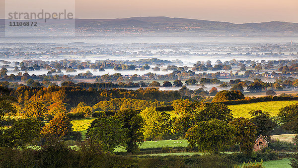 Herbstnebel in der Ebene von Cheshire  der sich über die Landschaft bis zu den walisischen Hügeln erstreckt  Cheshire  England  Vereinigtes Königreich  Europa