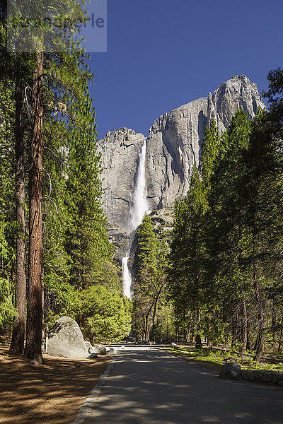 Die Yosemite-Wasserfälle in voller Strömung im Frühling im Yosemite-Nationalpark  UNESCO-Welterbe  Kalifornien  Vereinigte Staaten von Amerika  Nordamerika