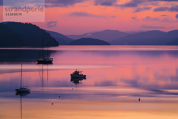Die friedlichen und ruhigen Gewässer des Queen Charlotte Sound in der Morgendämmerung  Südinsel  Neuseeland  Pazifik