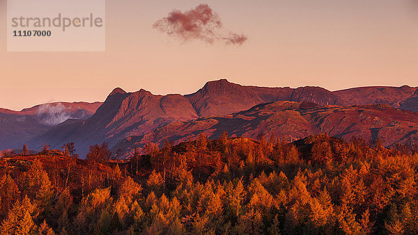 Die Langdale Pikes beleuchtet im goldenen Schein der Morgendämmerung an einem Herbstmorgen im Lake District National Park  Cumbria  England  Vereinigtes Königreich  Europa